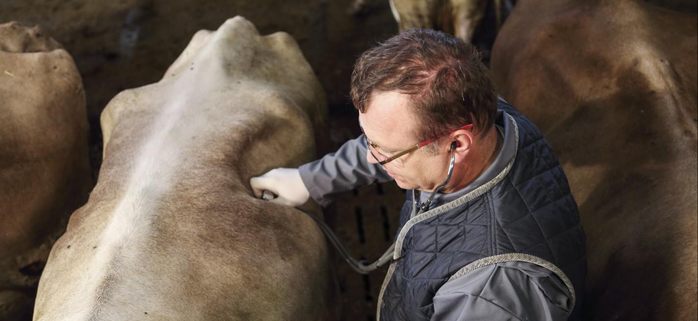 veterinaire rural