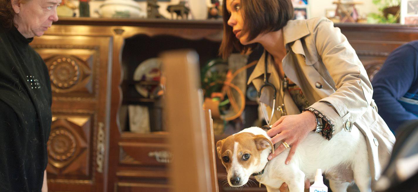 une consultation de chien à domicile 