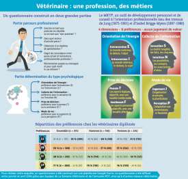 Vétérinaire : une profession, des métiers