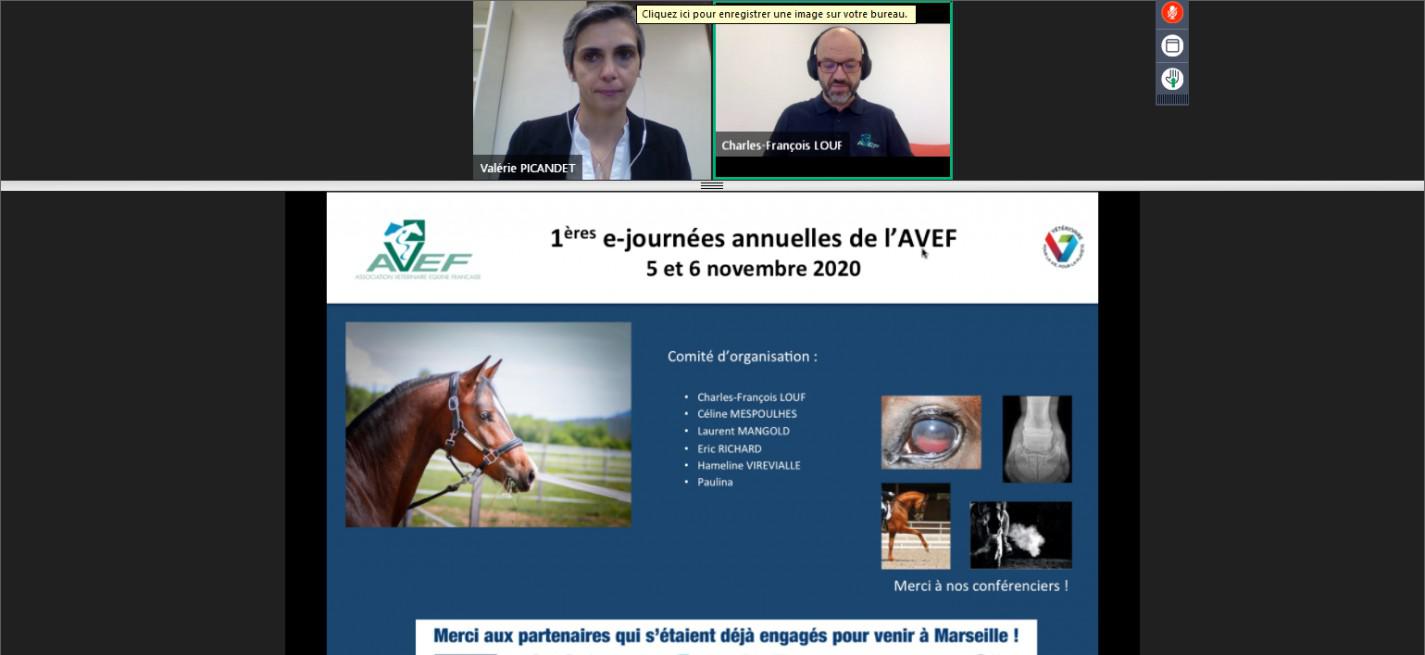 e-Journées annuelles 2020 Avef