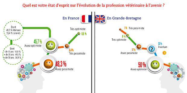 infographie enquête profession