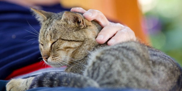 Chat avec une personne âgée