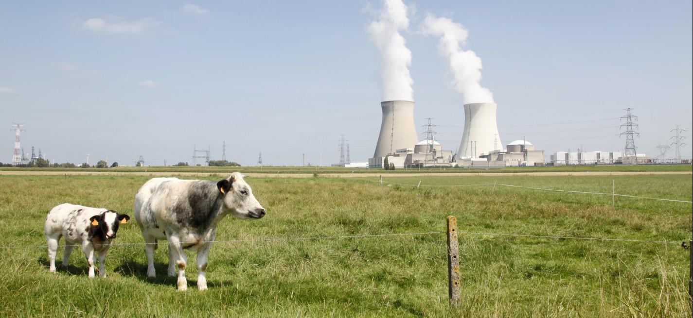 vache centrale nucléaire