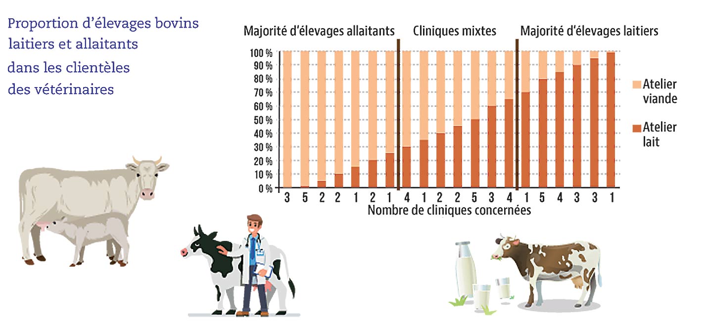 Infographies LSV