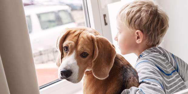 Enfant et chien