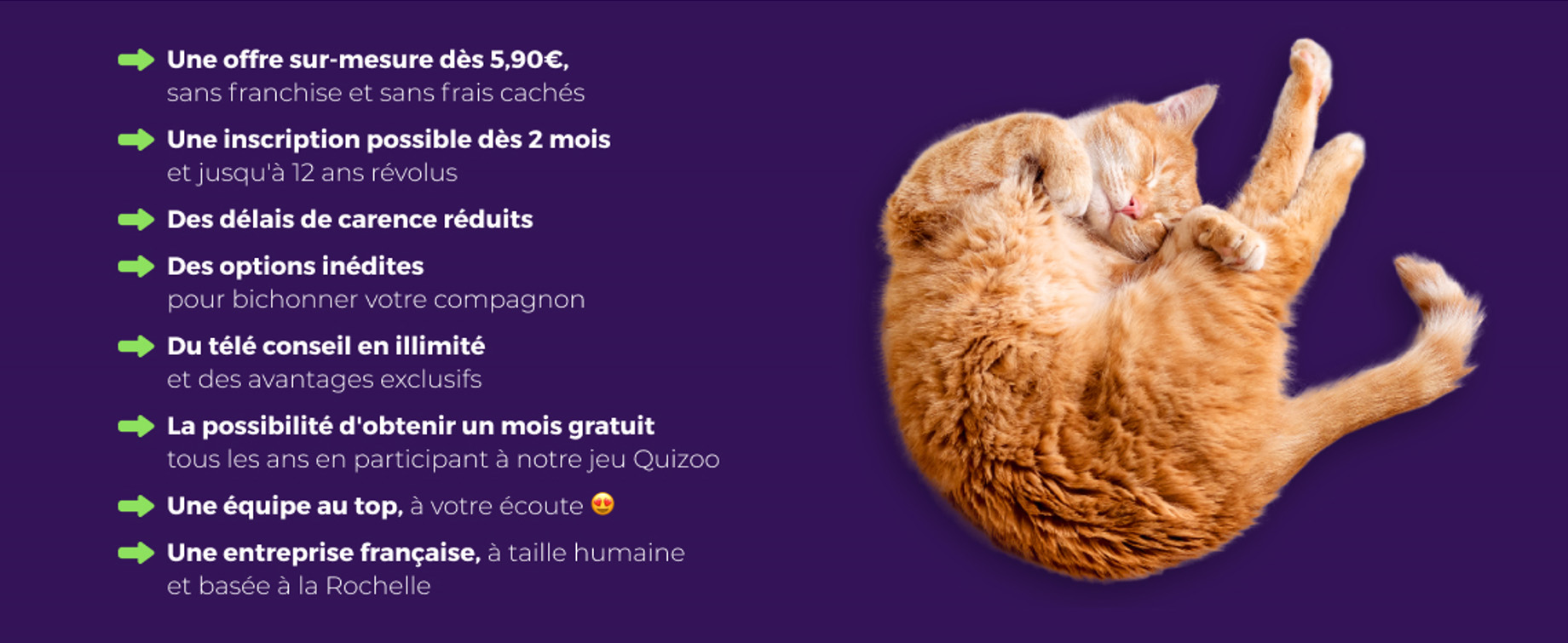 kozoo, chute de chat, offre sur mesure, sans franchise sans frais engagé, inscription possible dès 2 mois, délais de carence réduits, options inedites, bichonner votre compagnon, télé conseil illimité, avantages exclusifs, obtenir un mois gratuit, quizoo, équipe au top à votre écoute, entreprise française, taille humaine basée à la rochelle