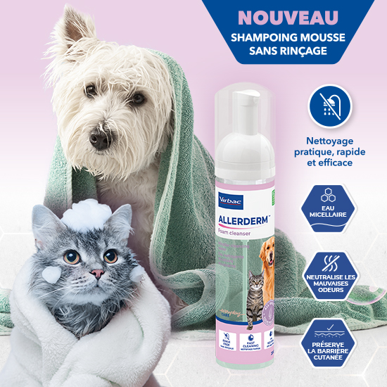 visuel chat et chien nouveau shampoo