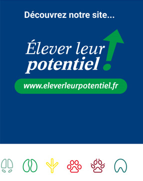 elever leur potentiel, eleveur, offre vidéo, boehringer ingelheim, icones, animal health france, 29 avenur tony garnier 69007 lyon