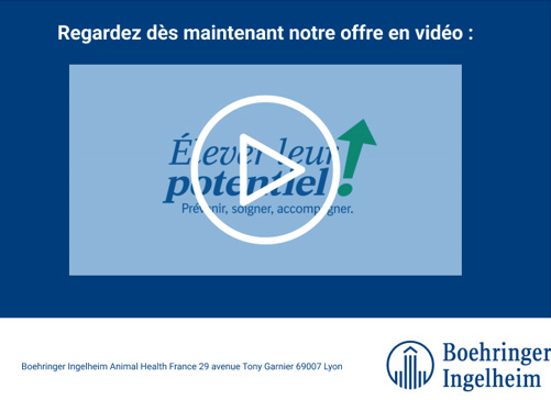 elever leur potentiel, eleveur, offre vidéo, boehringer ingelheim, icones, animal health france, 29 avenur tony garnier 69007 lyon