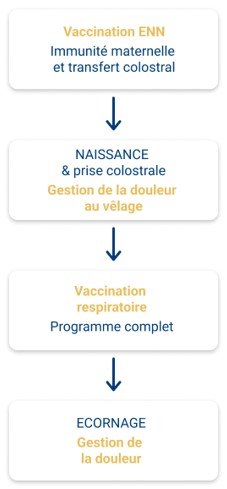 sante, organigrame, naissance, étapes