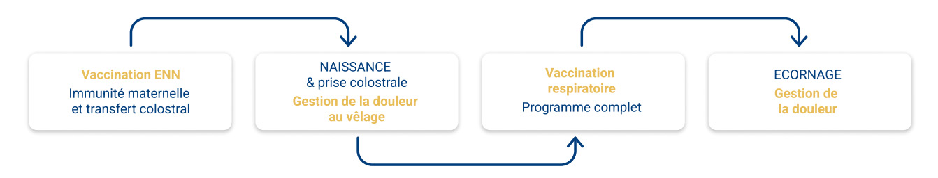 vaccination enn, immunité maternelle, transfert colostral, naissance, prise colostrale, gestion douleur vélage, respiratoire, programme complet, ecornage