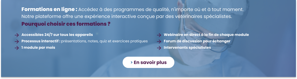 Tarif préférentiel prolongé pour toutes les inscriptions sur toutes nos formations ! Jusqu’à 750 € de remise avec le code promo FR-TP-2024 Contactez-nous dès aujourd'hui pour en bénéficier !