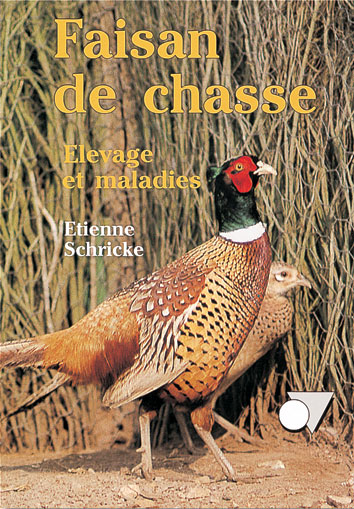 Faisan de chasse, élevage et maladies