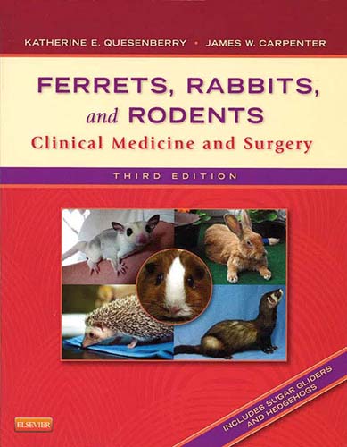 Ferrets, Rabbits and Rodents : Clinical Medicine and Surgery