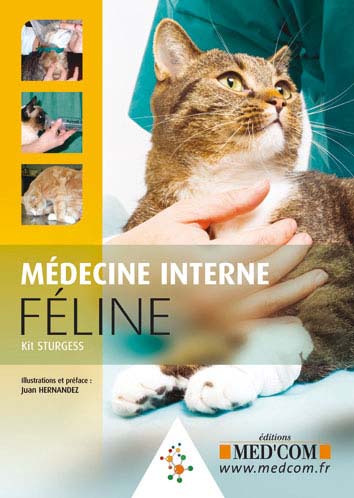 Médecine interne féline