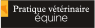 Pratique Vétérinaire Equine